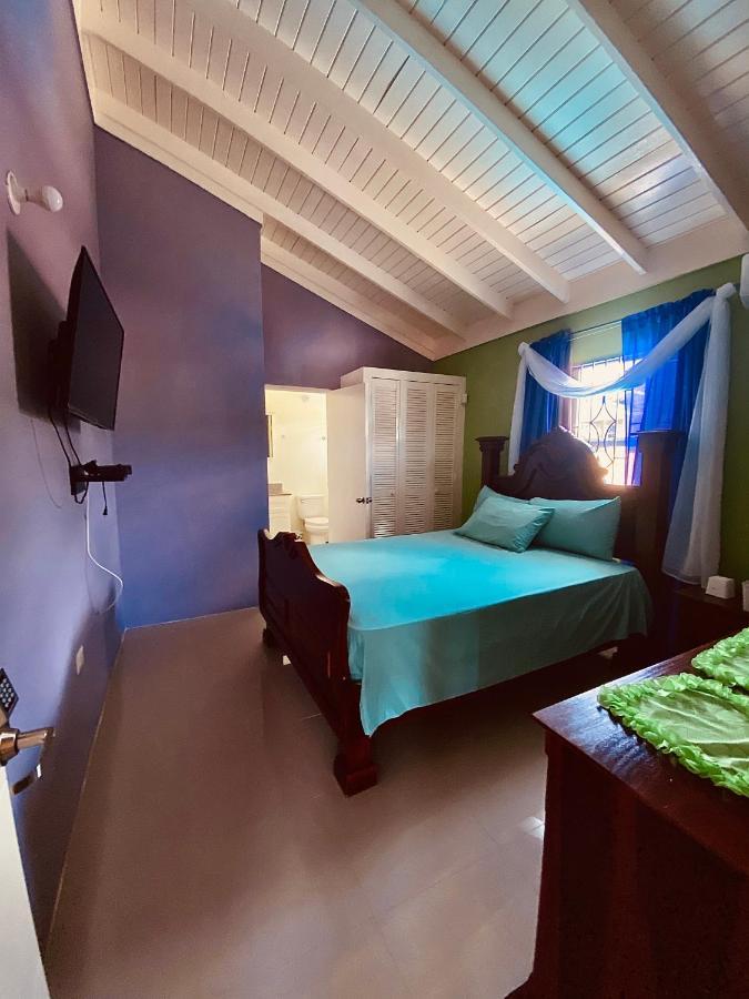 Paradise Villa Shared Onsite Private Pool Onsite Gym Ocho Rios Zewnętrze zdjęcie